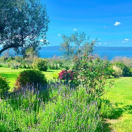 Lakeside Haven Apartment Bolsena